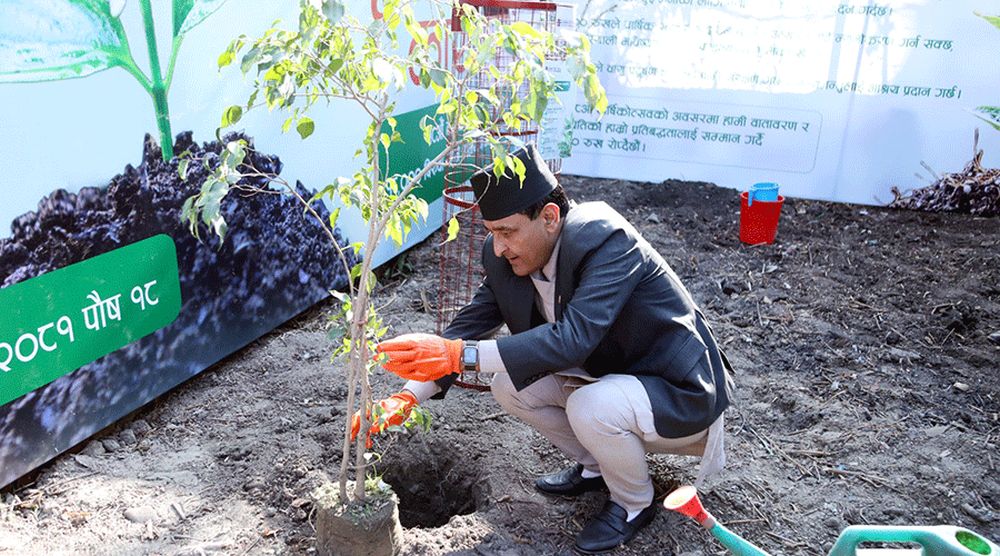 १८ हजार बिरुवा रोप्ने ग्लोबल आइएमई बैंकको घोषणा